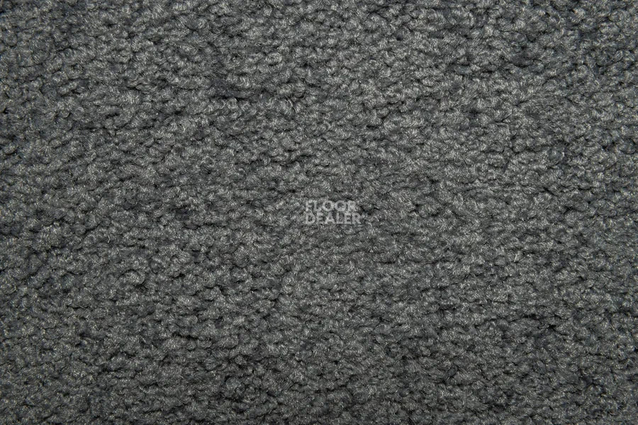 Vorwerk Superior 1065/Viola Vorwerk 5x92 фото 6 | FLOORDEALER